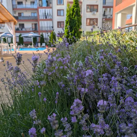 Green, Grass Of Apartmán